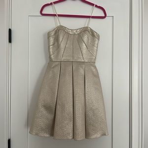 Aidan Mattox Fit and Flare Strapless Dress